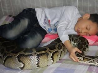 Φωτογραφία για Το 13χρονο αγόρι που κοιμάται μ' ένα θηλυκό πύθωνα!