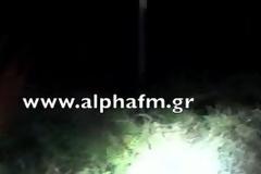 Νέο ατύχημα στον κάθετο άξονα της Εγνατίας (Κορομηλιά – Μανιάκοι) – Νεκρό αρκουδάκι 1 έτους