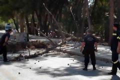 Αττική: Δεκάδες κλήσεις στην Πυροσβεστική εξαιτίας της κακοκαιρίας