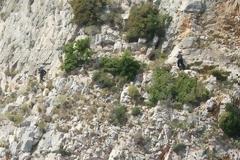 2668 - Η Έρημος του Αγίου Όρους