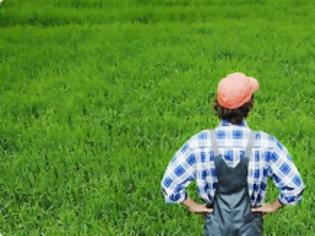 Φωτογραφία για Η απάτη της σοδειάς - 37.000 αγρότες «έκλεψαν»244 εκ. ευρώ μέσω ΦΠΑ