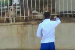 Βόλτα με τους διεθνείς (vid)