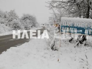 Φωτογραφία για Στα λευκά τα ορεινά της Ηλείας – Παροδικές εξελίσσονται οι χιονοπτώσεις