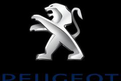 Ζ.Μ. Ερό: Δεν εξετάζουμε τη διάσωση της Peugeot