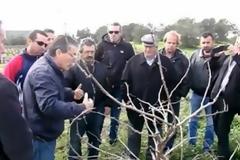 Κρητικοί εγκαταλείπουν την Αθήνα και επιστρέφουν στο χωριό για να μάθουν να καλλιεργούν τα χωράφια!