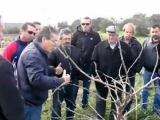 Φωτογραφία για Κρητικοί εγκαταλείπουν την Αθήνα και επιστρέφουν στο χωριό για να μάθουν να καλλιεργούν τα χωράφια!