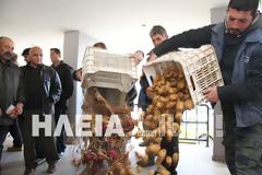 Πύργος: Σκόρπισαν αγροτικά προϊόντα και γάλα οι αγρότες σε Διοικητήριο ΔΟΥ - Δείτε video