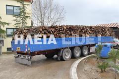 Ηλεία: 35 τόνους καυσόξυλα 