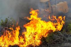 Τεράστια η οικολογική καταστροφή από τις δασικές πυκραγιές,