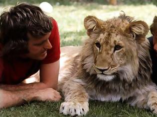 Φωτογραφία για Κρίστιαν το λιοντάρι: Μια συγκινητική ιστορία!