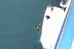 Τραγωδία σε κρουαζιερόπλοιο: 5 νεκροί, ανάμεσα στους τραυματίες και 2 Έλληνες