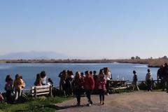 Δράσεις ενημέρωσης ΦΔ Πάρνωνα - Μουστού για την Παγκόσμια Ημέρα Υγροτόπων 2013