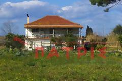 Ηλεία: Χαροπαλεύει η 66χρονη που έπεσε θύμα ληστείας στη Βάρδα