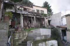 Αν μπορούσαν θα μιλούσαν και οι... γούρνες