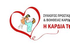 «H Καρδιά του Παιδιού» τιμά την Παγκόσμια Ημέρα Συγγενών Καρδιοπαθειών με τη «Συμβολική Πορεία» από το Ζάππειο ως το Παναθηναϊκό Στάδιο