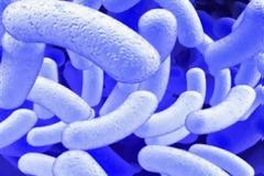 Μπορεί να μας προφυλάσσει από διαβήτη το H. pylori