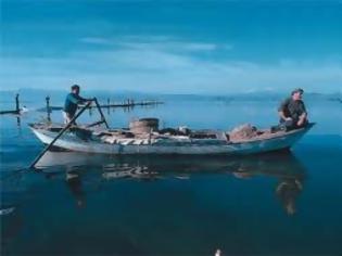 Φωτογραφία για Σύλλογος Ενεργών Πολιτών Αμβρακικού: Ο Αμβρακικός πνέει τα λοίσθια, σε απόγνωση οι ψαράδες!