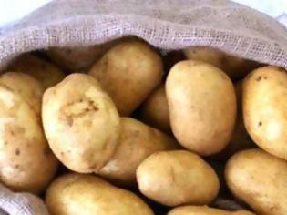 Φωτογραφία για Τρεις τόνοι πατάτες από την Συνεταιριστική Τράπεζα Χανίων σε ανθρώπους με ανάγκη