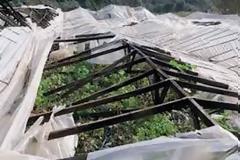 Μεσαρά: Απίστευτη δολιοφθορά - Έβαλαν στο μάτι παραγωγό