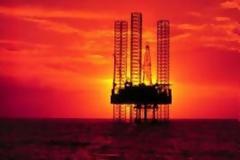 Shell: 