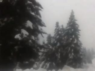 Φωτογραφία για Χιόνια, κρύο και προβλήματα στα ορεινά της Αιτωλ/νίας