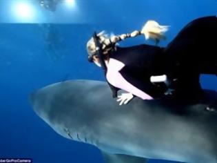 Φωτογραφία για VIDEO: Δύτρια μιλάει με λευκό καρχαρία!