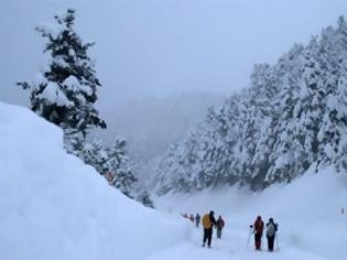 Φωτογραφία για Παρνασσός: Το χιόνι ξεπερνούσε τα τρία μέτρα!