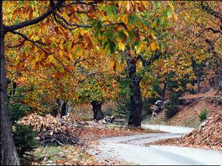 Φωτογραφία για Χωριά Πάρνωνα: On the road αποδράσεις για λίγους