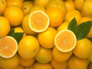 Φωτογραφία για Τα θρεπτικά στοιχεία του πορτοκαλιού