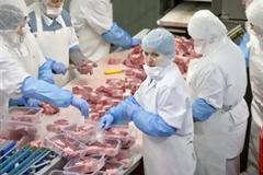 Γερμανία: Ενισχύονται οι έλεγχοι μετά το σκάνδαλο με το κρέας αλόγου