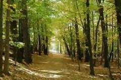 Mειώθηκαν οι γεωργικές εκτάσεις στην Πελοπόννησο