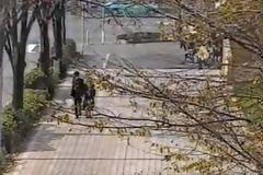 Eπική γιαπωνέζικη φάρσα με 100 ανθρώπους [Video]
