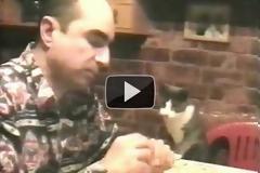 Γάτα που ξέρει τη νοηματική γλώσσα! (Video)