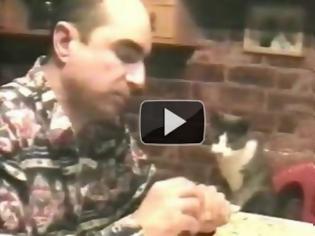 Φωτογραφία για Γάτα που ξέρει τη νοηματική γλώσσα! (Video)