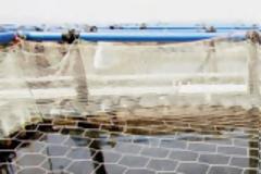 ΥΠΕΚΑ: Πρόστιμα 590.950 ευρώ σε 12 μονάδες