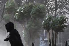 Οι θυελλώδεις άνεμοι δεν άφησαν τίποτε όρθιο την νύχτα στα Χανιά