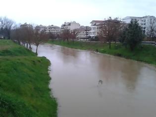 Φωτογραφία για Υπερχείλισε ο Ληθαίος στα Τρίκαλα...