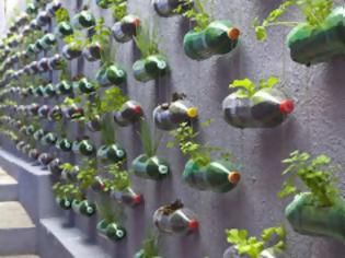 Φωτογραφία για ΔΕΙΤΕ: Κάθετοι κήποι σε πλαστικά μπουκάλια!