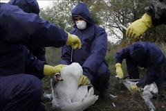 Άλλος ένας νεκρός από τη γρίπη των πτηνών στην Κίνα