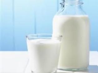 Φωτογραφία για Σερβία: Ασφαλή για κατανάλωση το γάλα και τα γαλακτοκομικά προϊόντα, διαβεβαιώνει η κυβέρνηση
