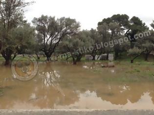 Φωτογραφία για Θρήνος στην κηδεία της άτυχης Μαριάντζελας που χάθηκε στη νεροποντή