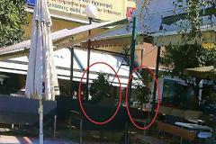 Γιατί ''αρρωσταίνουν'' τα δένδρα στην Λαμία;