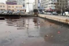Αρχίζει και πάλι ο επιφανειακός καθαρισμός του Θερμαϊκού Κόλπου