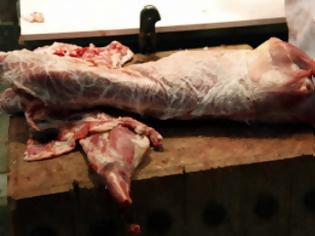 Φωτογραφία για Εντοπίστηκε DNA αλόγου σε κατεψυγμένα κρέατα στην Ελλάδα