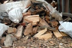 ΥΠΕΚΑ: Αυστηρότερες ποινές για τη λαθροϋλοτομία