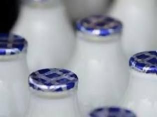Φωτογραφία για Γάλα με αφλατοξίνη στην Αλβανία