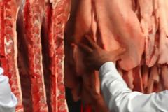 Ελληνικές εταιρείες ύποπτες για κρέατα με DNA αλόγου!