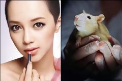 Η Shiseido σταματάει τις δοκιμές καλλυντικών σε ζώα