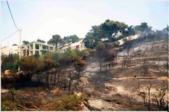 Το «Κοριτσάκι με τα σπίρτα» στο εδώλιο για εμπρησμούς στην Αθήνα