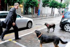 Τους πήραν χαμπάρι και τα αδέσποτα
